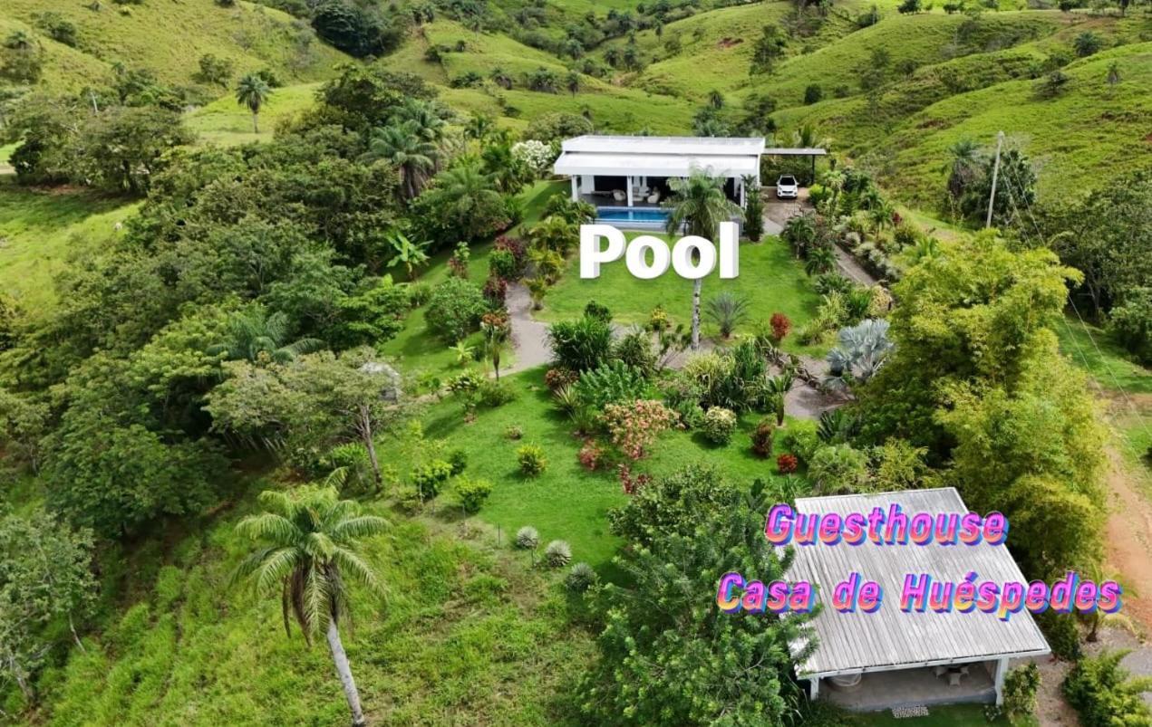 Finca Colibri Boca Chica Exterior foto